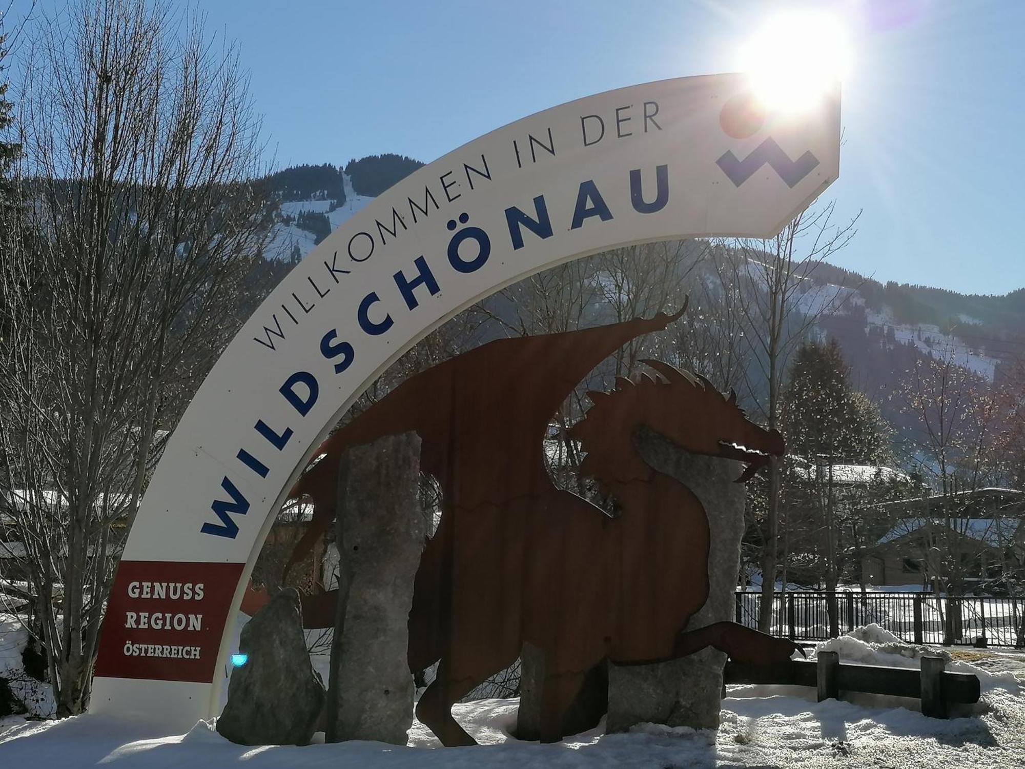 Ferienwohnung Sonnhangblick Von Fewo-Plan Wild015 Niederau Exteriér fotografie